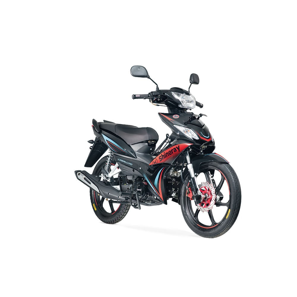 MOTOCICLETA XY125-30A 120 2027 NEGRO